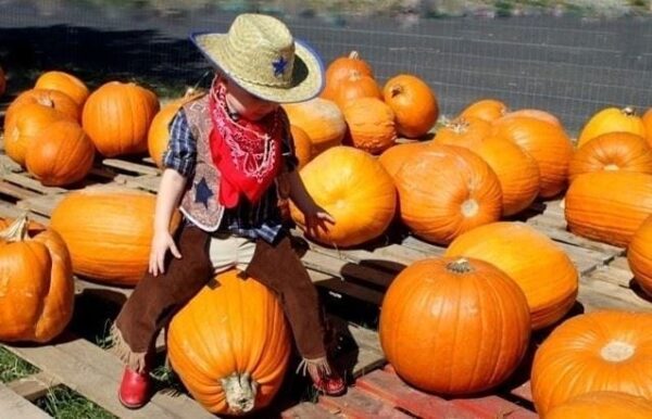 Young Cowpoke Riding a Pumpkin